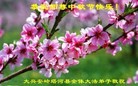 ֹ,󷨵ӹףʦ(21)
