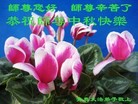 ֹ,ൺ󷨵ӹףʦ(22)
