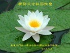 ֹ,㶫󷨵ӹףʦ(26)
