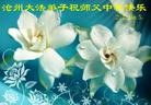 ֹ,ӱ󷨵ӹףʦ(34)
