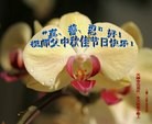 ֹ,󷨵ӹףʦ(22)
