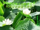 ֹ,󷨵ӹףʦ(22)

