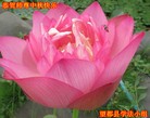 ֹ,󷨵ӹףʦ(22)
