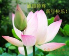 ֹ,½󷨵ӹףʦ(48)
