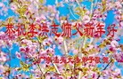 法轮功,大陆大法弟子恭祝师尊新年快乐(33条)
