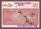 ֹ,½󷨵ӹףʦ(33)
