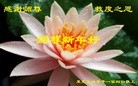 ֹ,½󷨵ӹףʦ(43)
