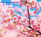 法轮功,大陆大法弟子恭祝师尊新年快乐(32条)
