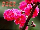 法轮功,大陆大法弟子恭祝师尊新年快乐(32条)
