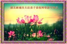 ֹ,½󷨵ӹףʦ(32)
