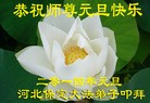 ֹ,½󷨵ӹףʦ(39)
