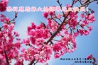 ֹ,½󷨵ӹףʦ(32)
