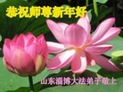 ֹ,½󷨵ӹףʦ(32)
