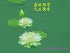 ֹ,½󷨵ӹףʦ(40)
