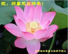 ֹ,½󷨵ӹףʦ(31)

