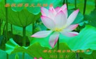 ֹ,½󷨵ӹףʦ(39)
