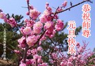 ֹ,½󷨵ӹףʦ(39)
