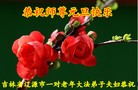 ֹ,½󷨵ӹףʦ(47)
