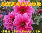 ֹ,½󷨵ӹףʦ(47)
