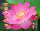 ֹ,½󷨵ӹףʦ(54)
