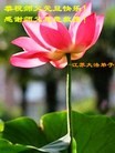 ֹ,½󷨵ӹףʦ(54)
