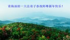 ֹ,½󷨵ӹףʦ(48)

