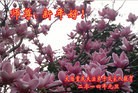 ֹ,½󷨵ӹףʦ(43)

