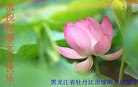 ֹ,½󷨵ӹףʦ(43)
