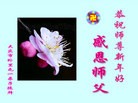 ֹ,½󷨵ӹףʦ(38)
