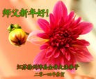 ֹ,մ󷨵ӹףʦ(19)
