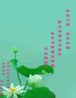 ֹ,ϴ󷨵ӹףʦ(21)
