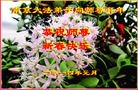 ֹ,մ󷨵ӹףʦã19
