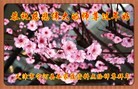 ֹ,󷨵ӹףʦã19
