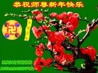 ֹ,󷨵ӹףʦ(25)
