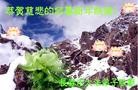 ֹ,󷨵ӹףʦ(20)
