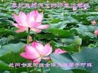 ֹ,󷨵ӹףʦã21

