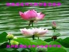ֹ,󷨵ӹףʦã21
