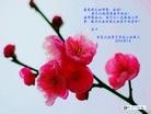 ֹ,ൺ󷨵ӹףʦ֣19
