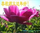 ֹ,ൺ󷨵ӹףʦ֣19

