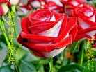ֹ,󷨵ӹףʦ(22)
