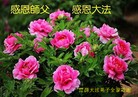 ֹ,ʡ󷨵ӹףʦ(27)
