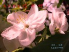 ֹ,ʡ󷨵ӹףʦ(27)
