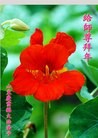 ֹ,д󷨵ӹףʦã26
