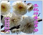 ֹ,󷨵ӹףʦ(18)
