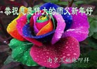ֹ,մ󷨵ӹףʦ(23)

