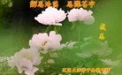 ֹ,ʡ󷨵ӹףʦ(27)
