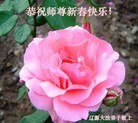 ֹ,ʡ󷨵ӹףʦ(19)
