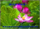 ֹ,󷨵ӹףʦ(22)
