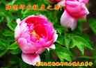 ֹ,󷨵ӹףʦã21
