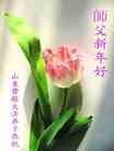 ֹ,ʴ󷨵ӹףʦ֣20
